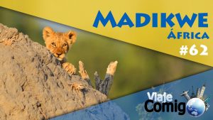 Vídeos África do Sul - Madikwe e Pilanesberg