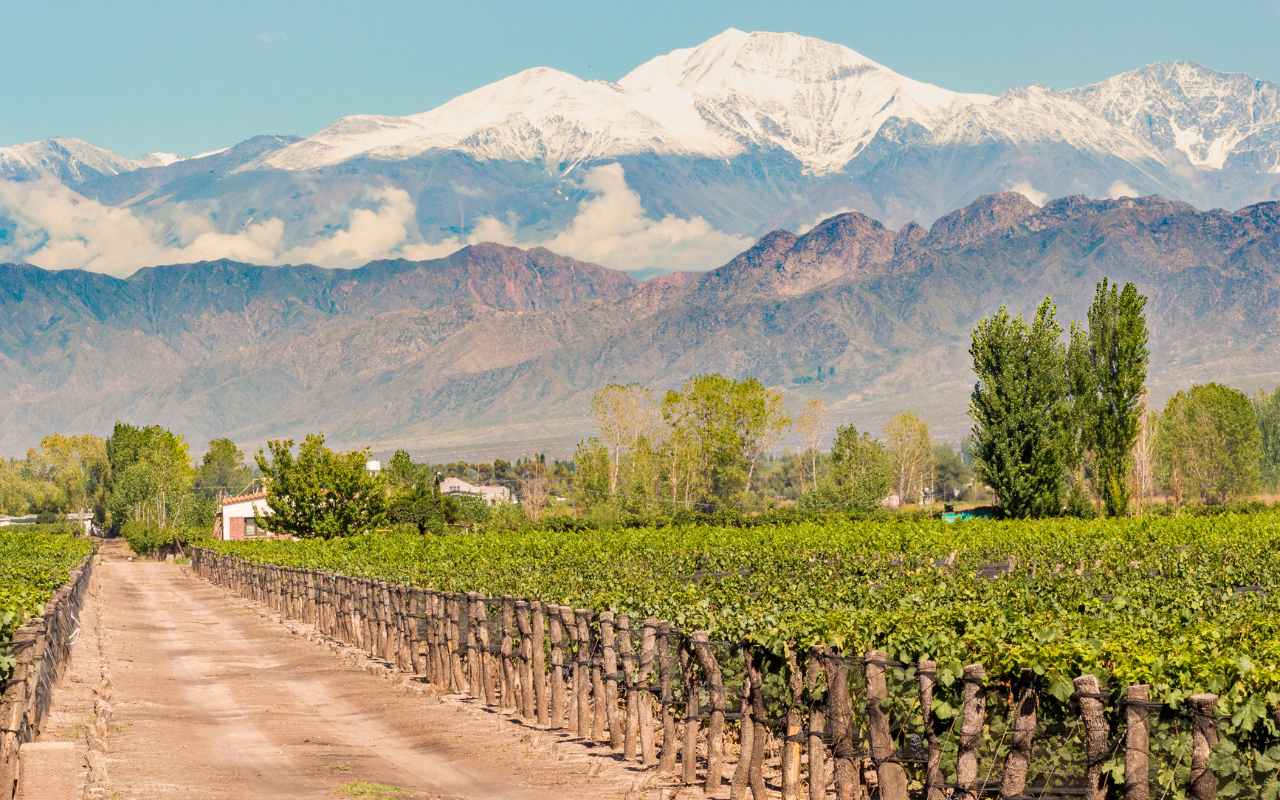 Mendoza-Argentina-canva 2