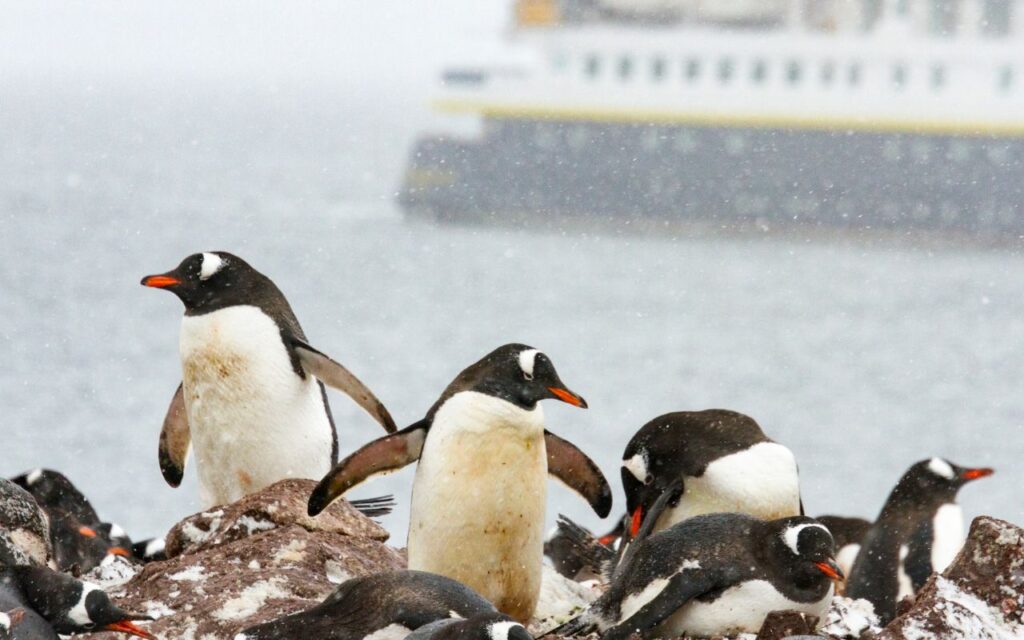 Antártida - O continente gelado