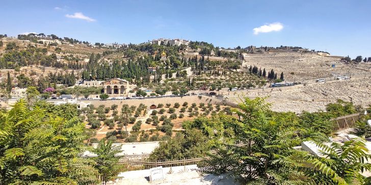 Monte das Oliveiras - Jerusalém - Israel