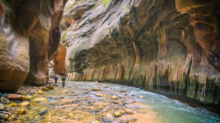 Parques Nacionais - Zion -The Narrows