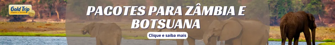 Banner pacotes para Zâmbia e Botsuana da Gold Trip