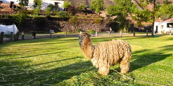 Vila de Ollantaytambo no Peru