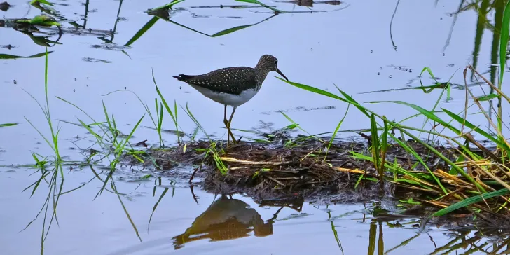 Parque Estadual do Cantão