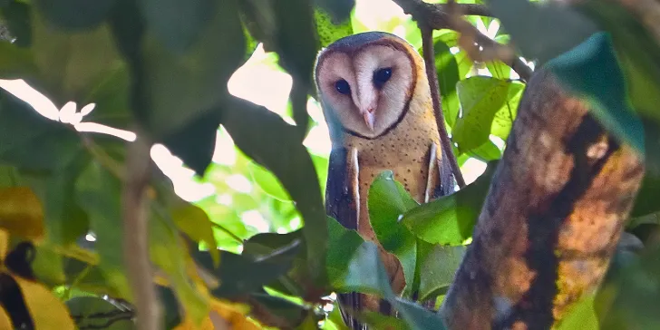 Parque Estadual do Cantão