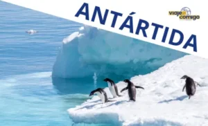Vídeos Viaje Comigo - Antártida
