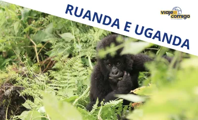 Vídeos Viaje Comigo -Ruanda e Uganda