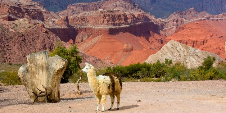 Paisagem de Salta na Argentina