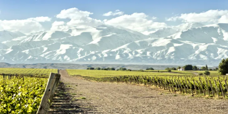 Vinícula em Mendoza na temporada de neve Argentina