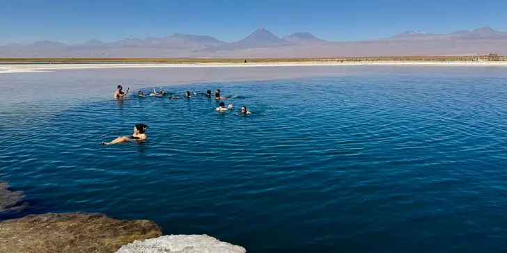 Laguna Cejar - Atacama-Chile