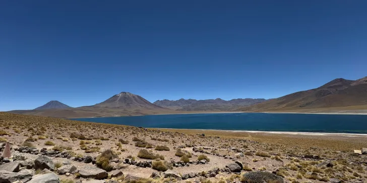 Laguna Miscanti - Atacama - Chile