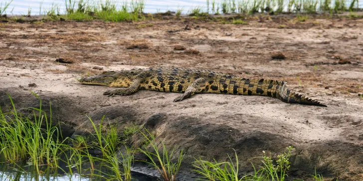 Melhores Safáris - Botsuana - Delta do Okavango