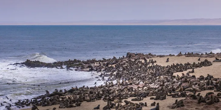 Costa dos Esqueletos-Namibia-Africa-canva (1)_11zon