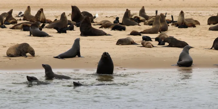 Sandwich Harbour- Namíbia- África
