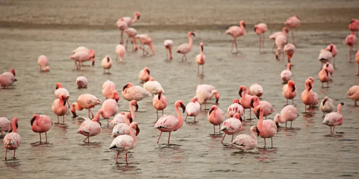 Sandwich Harbour- Namíbia- África