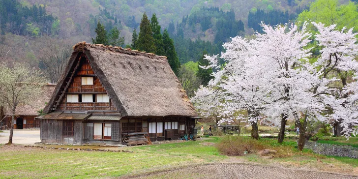 Shirikawa-go no Japão