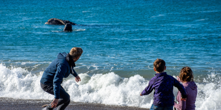 Puerto Madryn-SecTurismo (5)