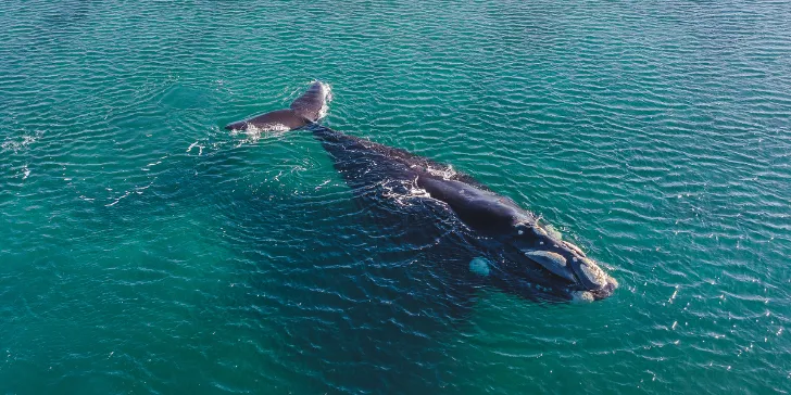 Puerto Madryn-SecTurismo (7)_11zon