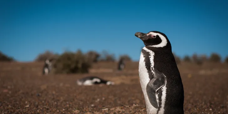 Estancia San Lorenzo