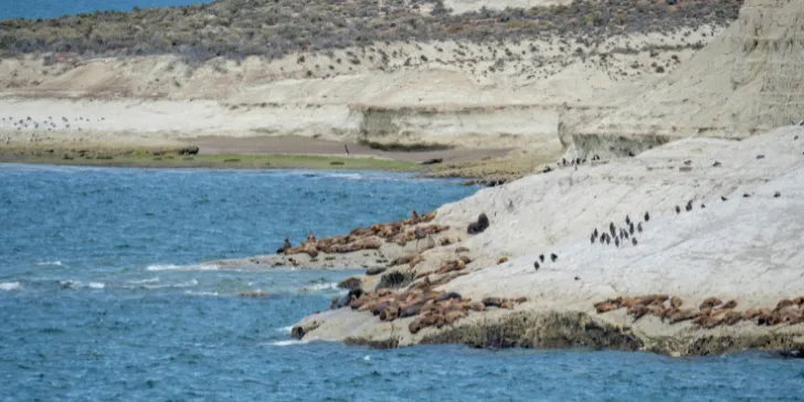 Reserva de Punta Loma