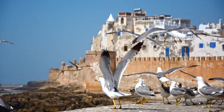 Essaouira-Marrocos