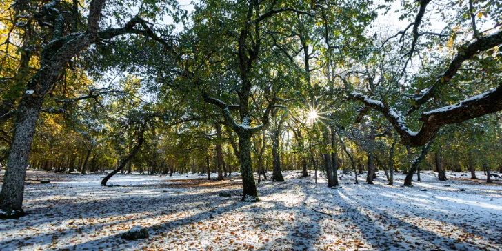 Ifrane-Marrocos (5)_11zon