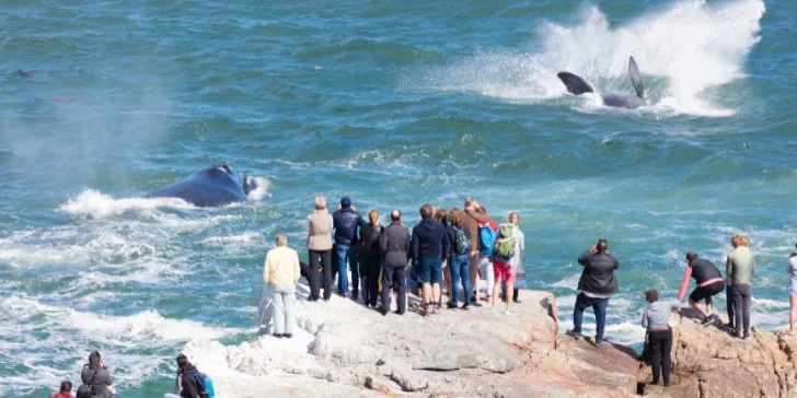 Rota Jardim-África do Sul-canva 12