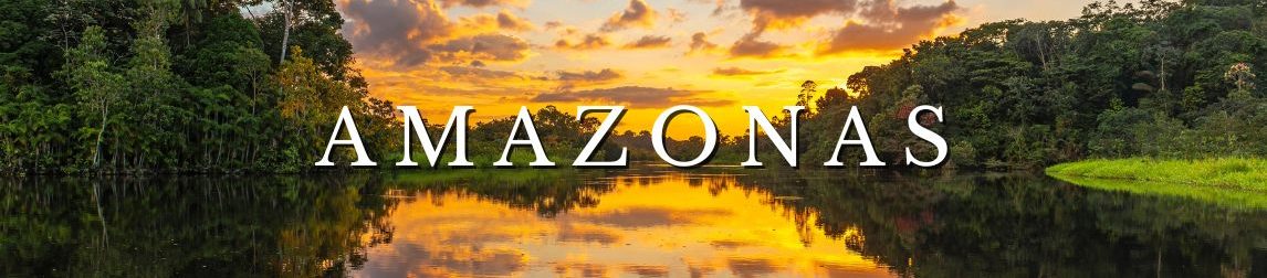 Pacotes para o Amazonas