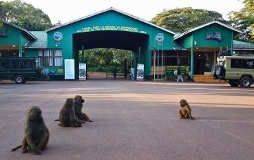 Entrada da Cratera de Ngorongoro na Tanzânia - África