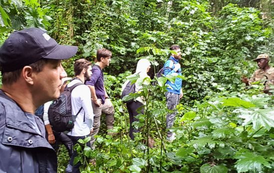 Peter Goldschmidt no trekking do Parque Nacional Impenetrável de Bwindi